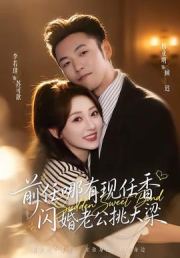 前任哪有现任香，闪婚老公挑大梁